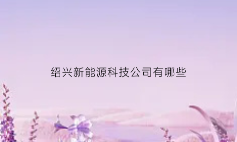 绍兴新能源科技公司有哪些