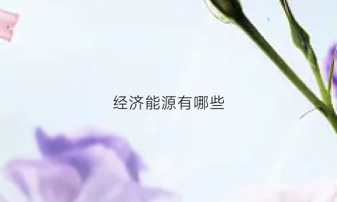 经济能源有哪些(能源经济是什么意思)