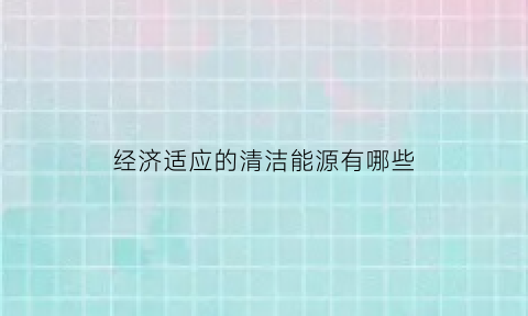 经济适应的清洁能源有哪些(经济适应性是什么意思)