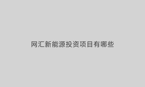 网汇新能源投资项目有哪些