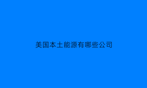 美国本土能源有哪些公司(美国能源是私有吗)