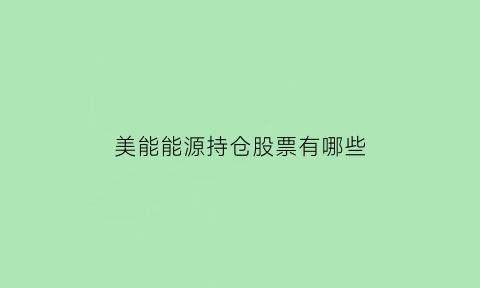 美能能源持仓股票有哪些(美能能源股东)