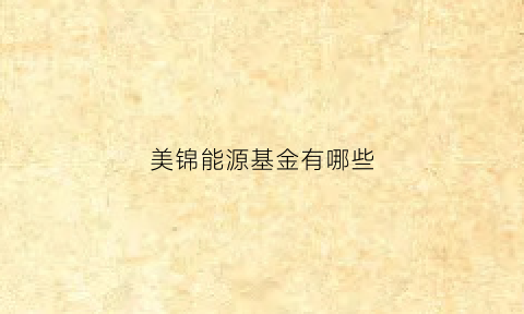 美锦能源基金有哪些(美锦能源值得长期投资吗)