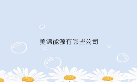 美锦能源有哪些公司