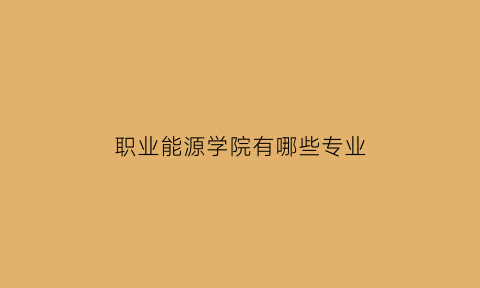 职业能源学院有哪些专业