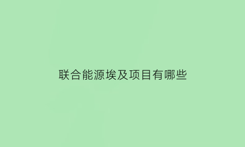 联合能源埃及项目有哪些