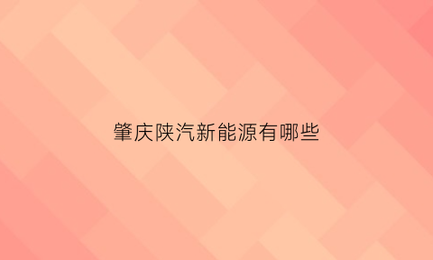 肇庆陕汽新能源有哪些