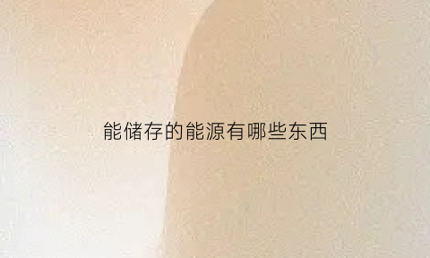 能储存的能源有哪些东西