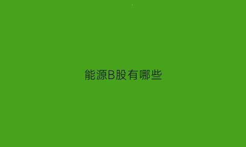 能源B股有哪些