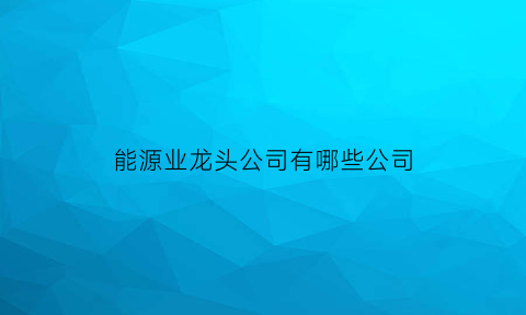 能源业龙头公司有哪些公司