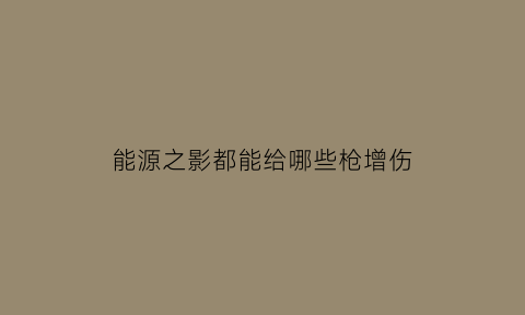 能源之影都能给哪些枪增伤