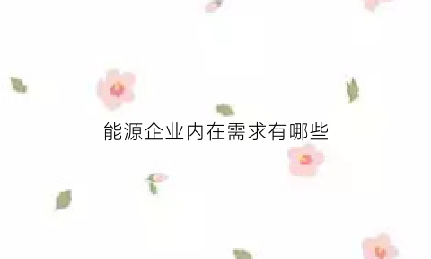 能源企业内在需求有哪些