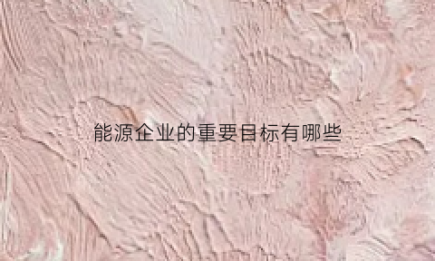 能源企业的重要目标有哪些(能源企业的重要目标有哪些方面)