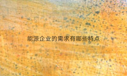 能源企业的需求有哪些特点