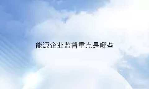 能源企业监督重点是哪些