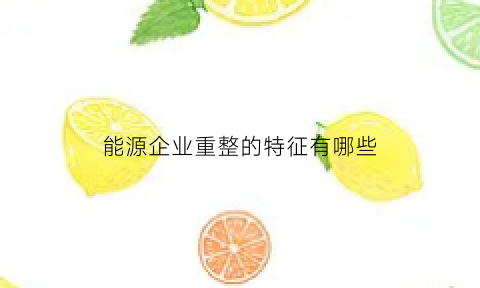 能源企业重整的特征有哪些