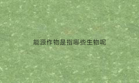 能源作物是指哪些生物呢