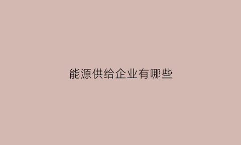 能源供给企业有哪些