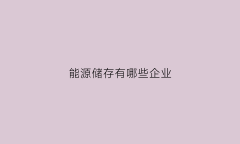 能源储存有哪些企业