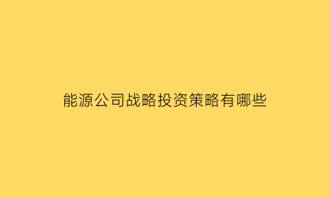 能源公司战略投资策略有哪些(能源行业战略分析)