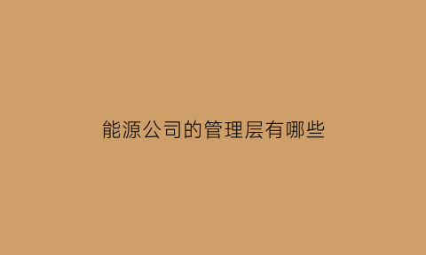 能源公司的管理层有哪些