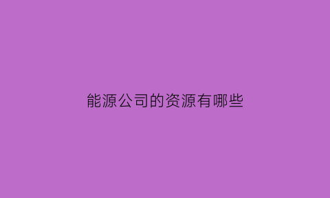 能源公司的资源有哪些