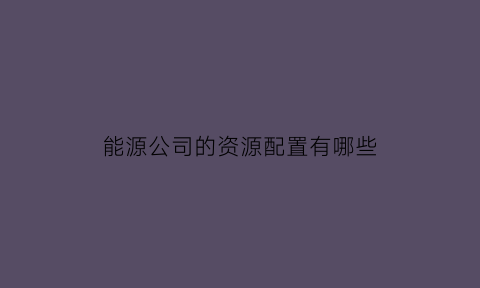 能源公司的资源配置有哪些