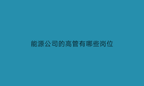 能源公司的高管有哪些岗位