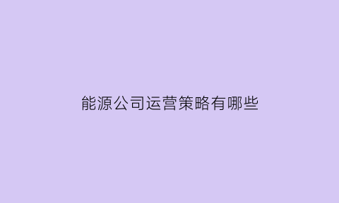 能源公司运营策略有哪些