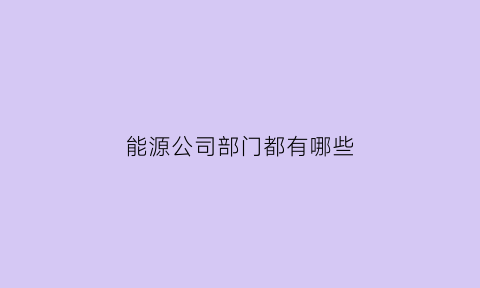 能源公司部门都有哪些