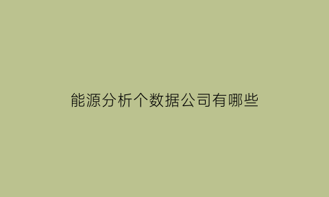 能源分析个数据公司有哪些