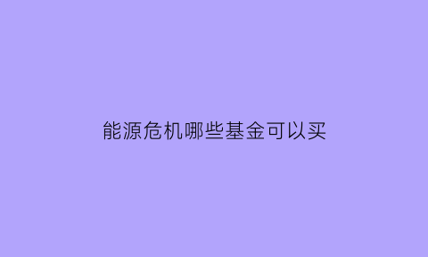 能源危机哪些基金可以买(能源危机投资什么)