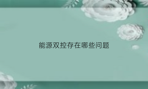 能源双控存在哪些问题