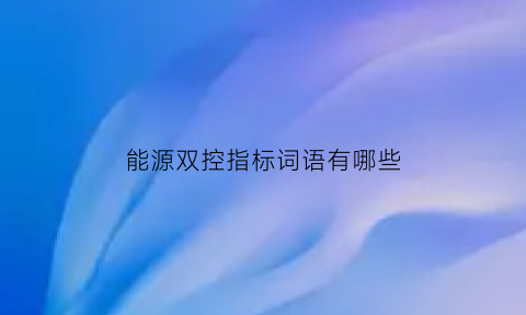 能源双控指标词语有哪些(能源双控政策指什么)