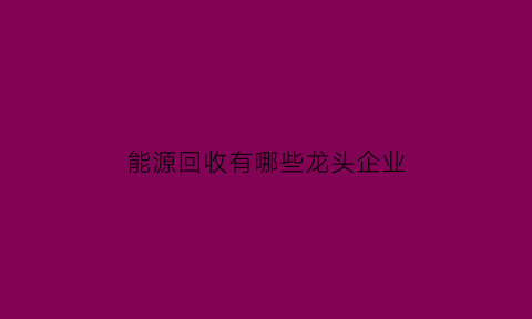 能源回收有哪些龙头企业