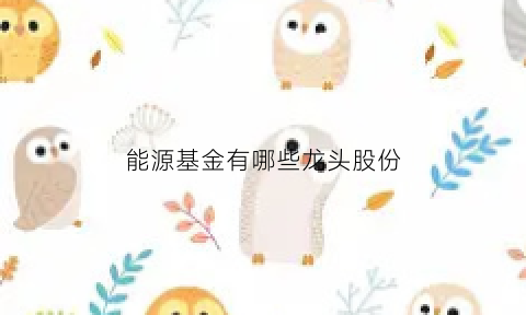 能源基金有哪些龙头股份