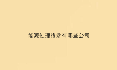 能源处理终端有哪些公司