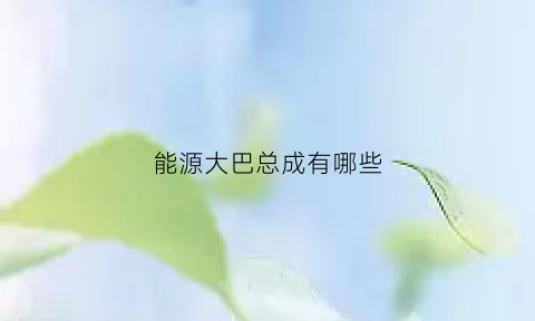 能源大巴总成有哪些