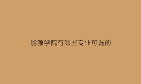 能源学院有哪些专业可选的