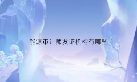 能源审计师发证机构有哪些