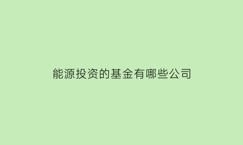 能源投资的基金有哪些公司