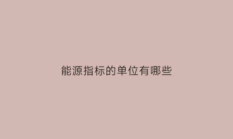 能源指标的单位有哪些