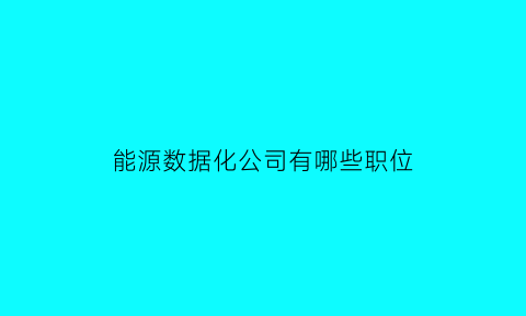 能源数据化公司有哪些职位(能源数据会审)