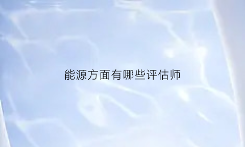 能源方面有哪些评估师