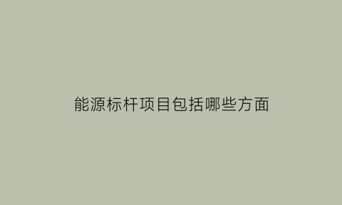 能源标杆项目包括哪些方面(能源标杆项目包括哪些方面内容)