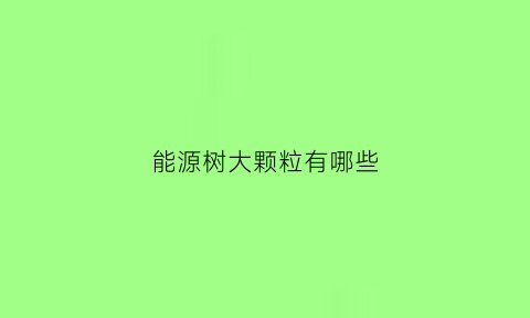 能源树大颗粒有哪些