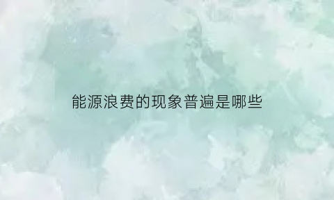 能源浪费的现象普遍是哪些