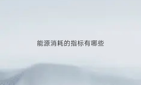 能源消耗的指标有哪些