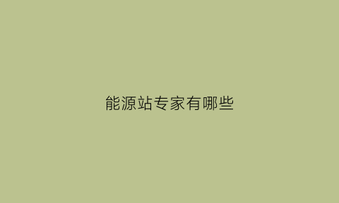 能源站专家有哪些