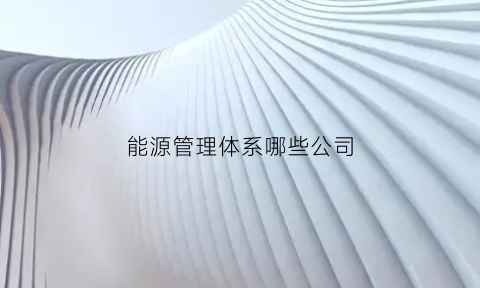 能源管理体系哪些公司